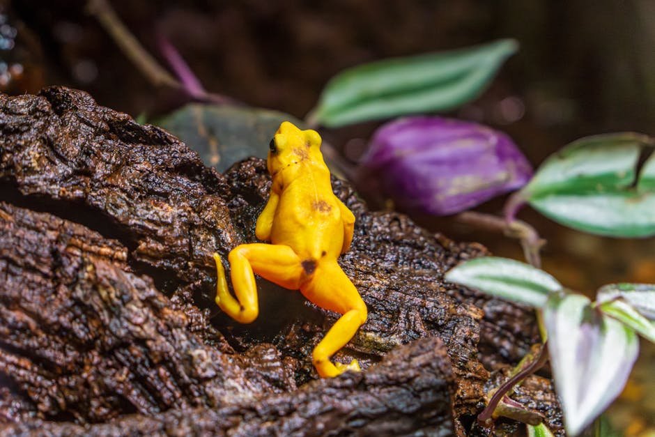 “EUA podem repetir o que fizeram no Panamá? Descubra agora!”